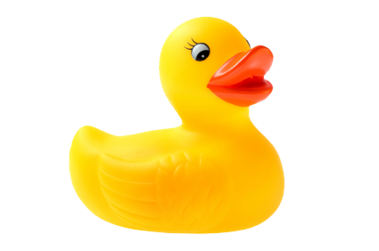duck no background
